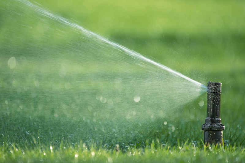 Valve Repair or Replacement