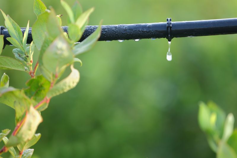 Local Drip Irrigation Installation in Castroville, TX