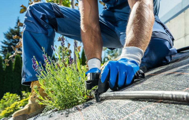 Local Drip Irrigation Installation in Smithville, TX