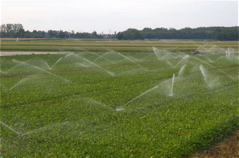 Field Irrigation Installation in Honolulu, HI