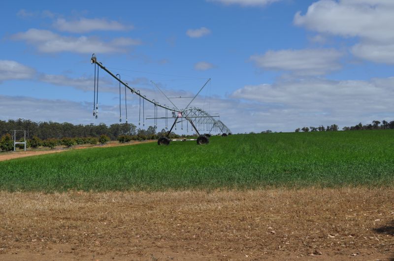 Local Irrigation System Installation in Llano, TX