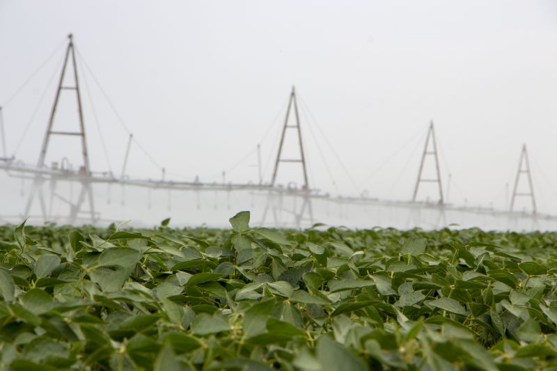 Local Irrigation System Installation in Taylor, TX