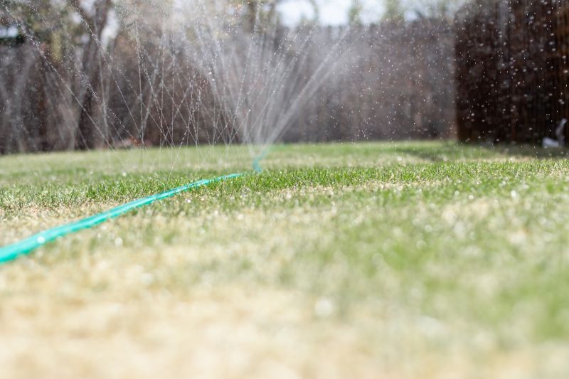 Local Lawn Irrigation Installation in Austin, TX