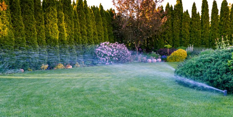 Local Lawn Sprinkler Repair in San Antonio, TX