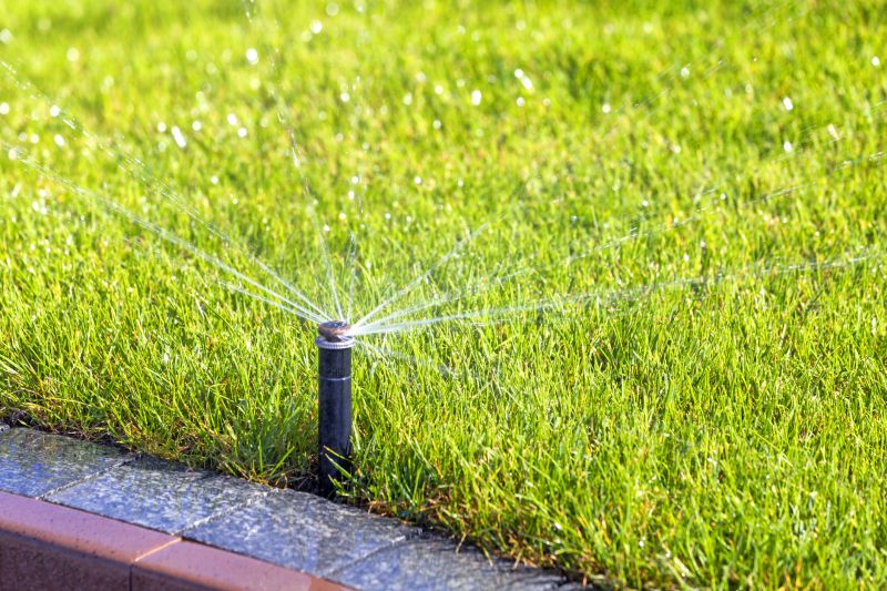 Local Lawn Sprinkler Repair in Spicewood, TX