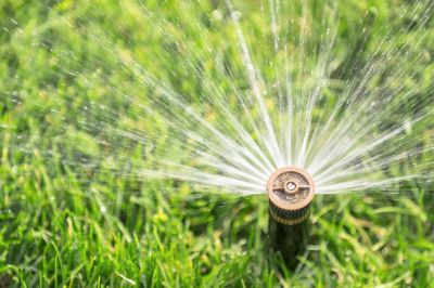 Local Sprinkler Head Replacement in Schertz, TX