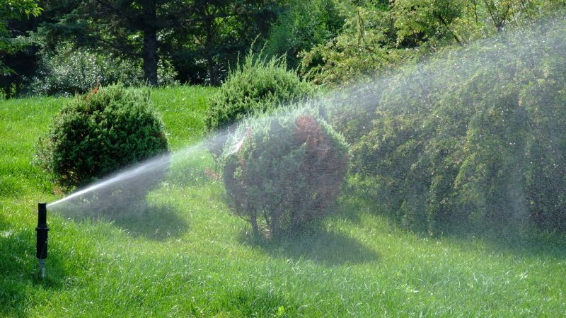 Local Sprinkler Winterizing Service in Kyle, TX