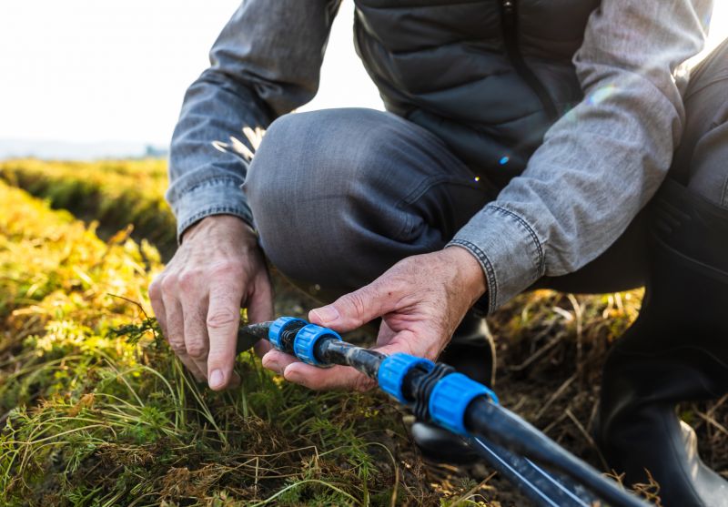 Sprinkler Controller Repair in Aiken, SC