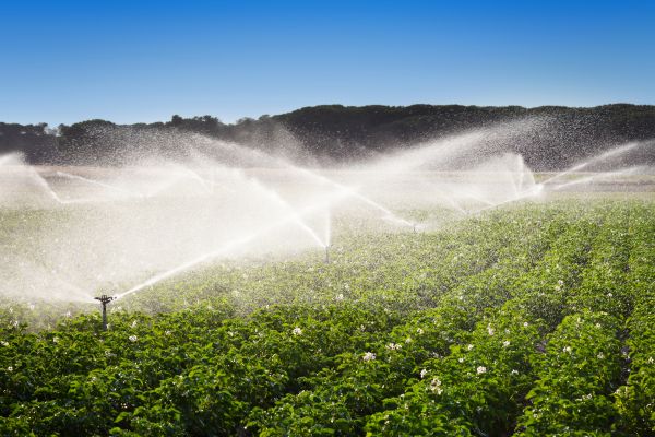Irrigation System Winterization Service