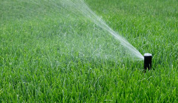Water Sprinkler Installation Service