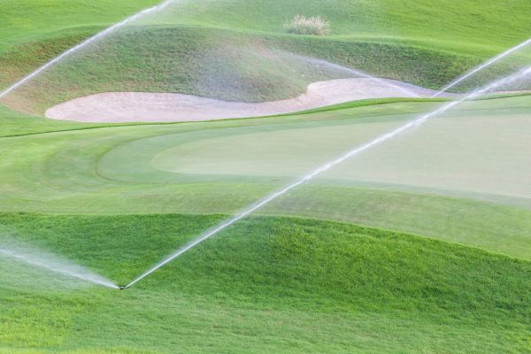 Turf Watering Maintenance
