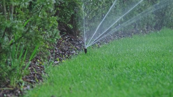 Popup Sprinkler Installation