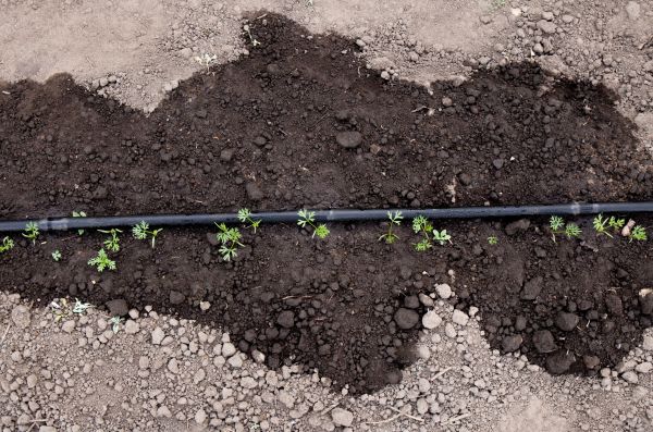 Soaker Hose Installation Service
