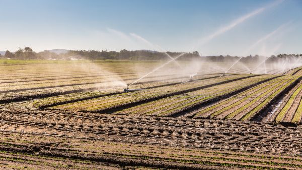 Land Irrigation Installation