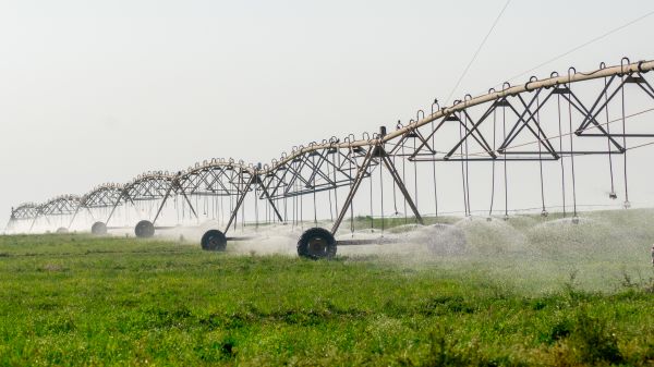Field Sprinkler Installation