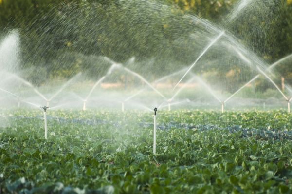 Plantation Irrigation Service