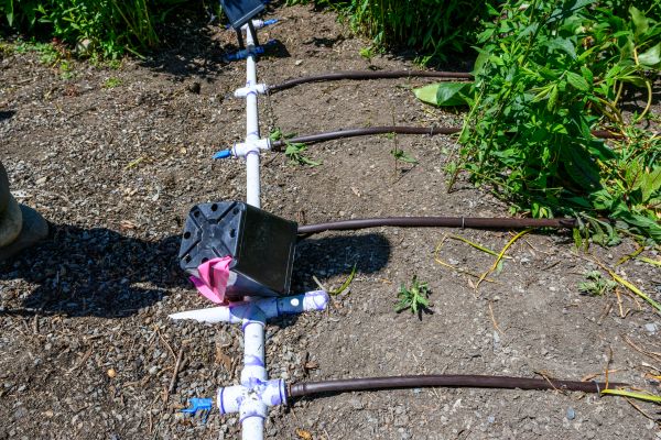 Buried Irrigation Service