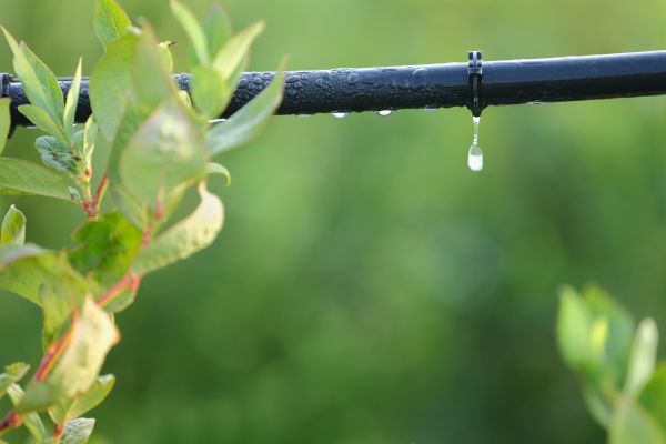 Drip Line Replacement Service