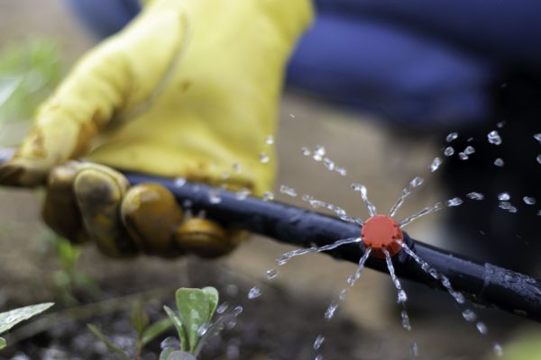 Irrigation Pipe Replacement Service
